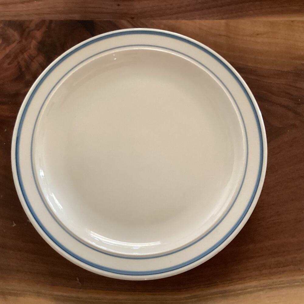 Casual Stoneware Dinner Plate